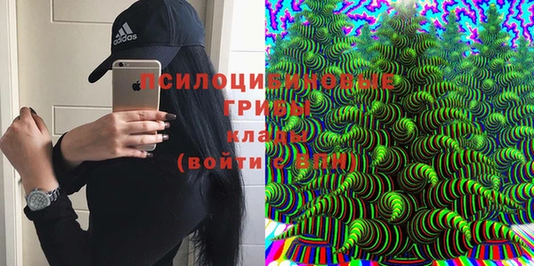 ешки Балахна
