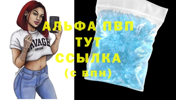 тгк Белокуриха