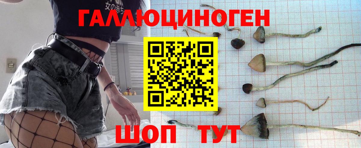 Галлюциногенные грибы Psilocybine cubensis  Вход с VPN  Коммунар 